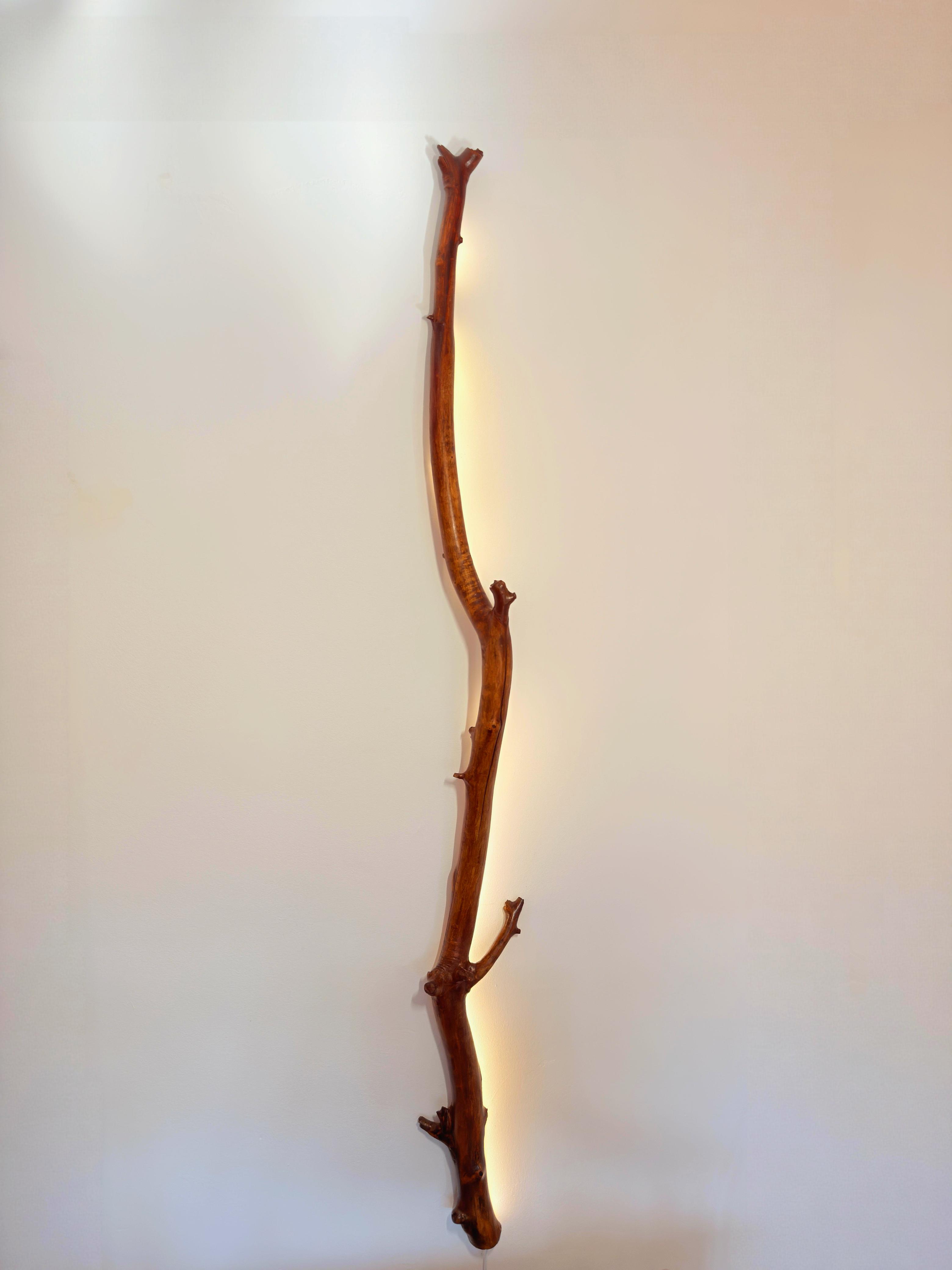 Aplique decorativo de madera natural con iluminación ambiental